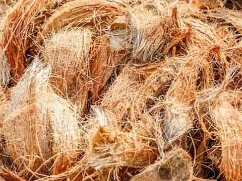 Xuất khẩu xơ dừa của Việt Nam tăng 272%