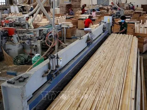 Thông tin việc Hoa Kỳ điều tra lẩn tránh phòng vệ thương mại với gỗ dán và tủ gỗ từ Việt Nam
