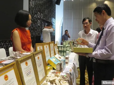 Khánh Hòa: Mục tiêu và giải pháp để năm 2025 có 200 sản phẩm OCOP cấp tỉnh