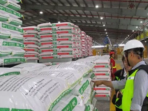 Giảm lệ thuộc vào thức ăn chăn nuôi nhập khẩu