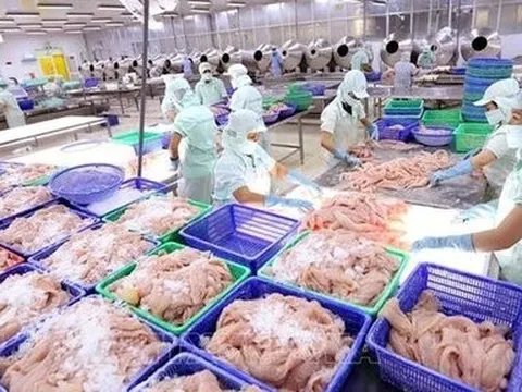 Em dâu Chủ tịch HĐQT ACL tiếp tục muốn thoái sạch vốn