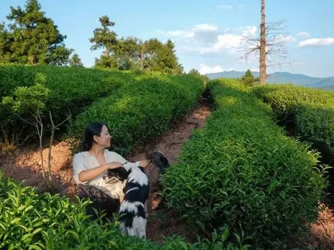 Ngôi nhà trên núi được cải tạo từ đồ bỏ đi của cô gái thích sống đời bình yên