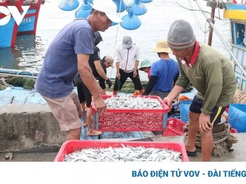 Mục tiêu đến năm 2030 giá trị kim ngạch xuất khẩu đạt 12 tỷ USD/năm