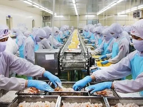 Sau mùa bội thu, doanh nghiệp thủy sản lo giảm tốc nửa cuối năm