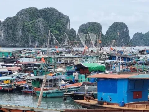 Hải Phòng, Quảng Ninh kêu gọi, hỗ trợ tàu thuyền vào nơi tránh trú bão số 3