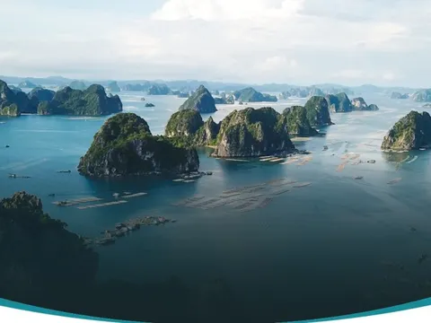 5 tour ngoại thành mới lạ ở TP.HCM dịp lễ 2-9