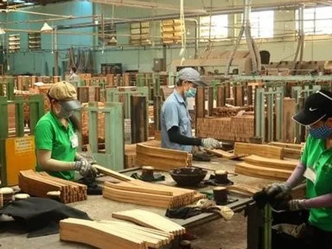 Thúc đẩy hiệu quả quá trình quản trị rừng và bài toán thương mại gỗ bền vững