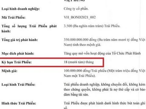 Việt Hưng không thanh toán 350 tỷ đồng trái phiếu đến hạn, nhà đầu tư nghi “có vấn đề”
