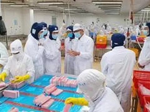 Doanh nghiệp thành lập mới và quay trở lại hoạt động 8 tháng tiếp tục lập đỉnh