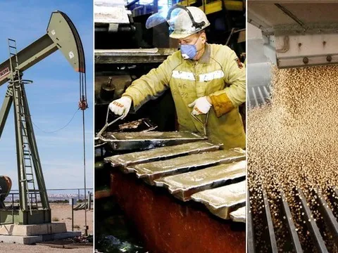 Những ngành hàng hóa quan trọng nào đang phải đối mặt với cuộc khủng hoảng năng lượng toàn cầu?