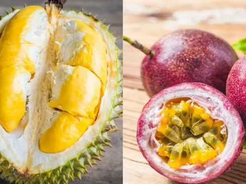 Nâng cao năng lực cho doanh nghiệp xuất khẩu sầu riêng và chanh leo vào thị trường Trung Quốc