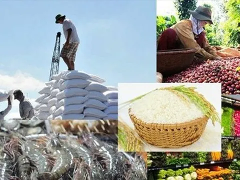 Lộ diện 7 mặt hàng nông, lâm, thuỷ sản xuất khẩu đạt trên 2 tỷ USD