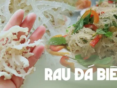 Loại rau chỉ có tại vùng biển được ví như 'lộc trời ban', giá tới 800k/kg vẫn được nhiều người tìm mua