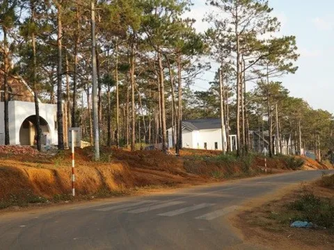 Tham mưu Chủ tịch huyện cấp 5 lô biệt thự ở Măng Đen trái luật, Trưởng phòng TN-MT bị đề nghị cảnh cáo