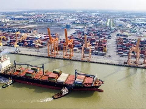 VCCI "hiến kế" để phát triển đội tàu vận tải biển quốc tế của Việt Nam