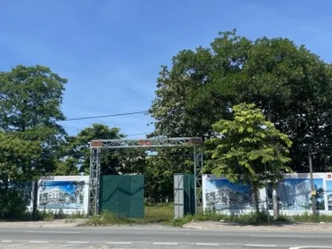 Chủ đầu tư dự án 36 The Mansions Nghi Lộc là ai?