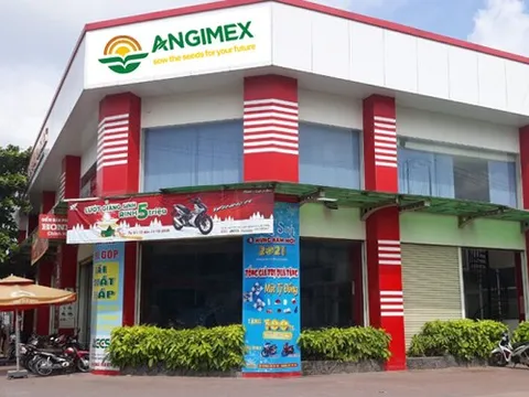 Louis Holdings bán toàn bộ cổ phần Angimex