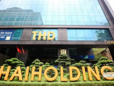 Lợi nhuận Thaiholdings giảm hơn 180 tỷ đồng sau kiểm toán