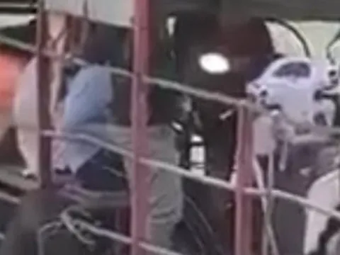 Đồng Nai: Xử lý vụ “tài công nhí" điều khiển phà chở khách qua sông