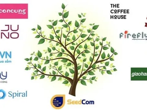 Ficus Asia Investment đã 'cứu' Seedcom như thế...