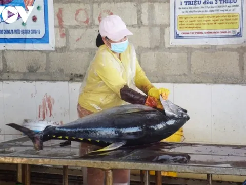 Mỹ tiếp tục là thị trường xuất khẩu nông thủy sản lớn nhất của Việt Nam