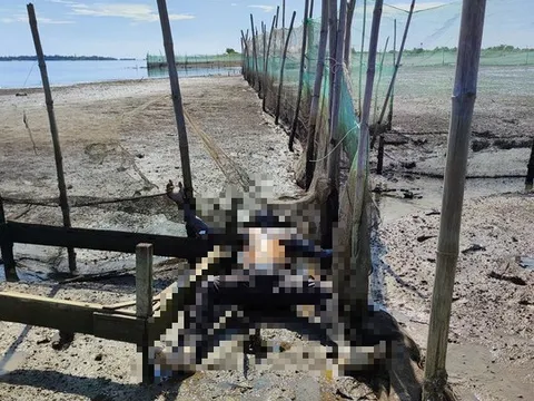 Bất ngờ phát hiện thi thể nam giới ở gần bờ sông Gianh