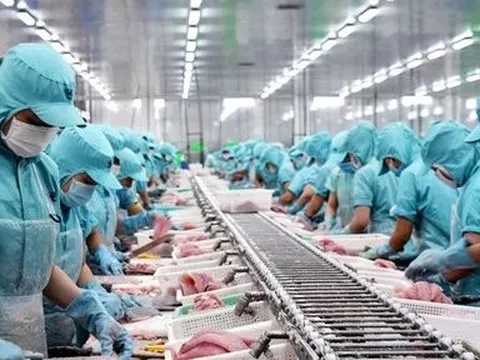 3 lần bán sạch vốn bất thành của vợ Phó Chủ tịch Thủy sản Mekong