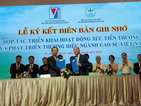 Phát triển thương hiệu ngành cao su Việt Nam