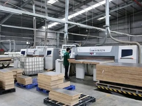 Sau xoát xét, lợi nhuận sau thuế của Gỗ Trường Thành giảm mạnh