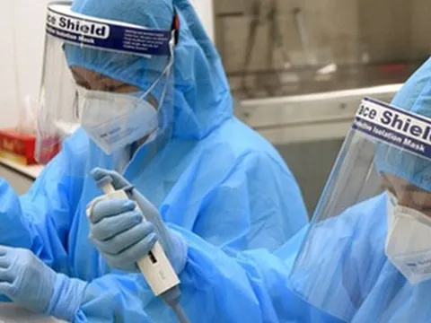 Biến thể nào đang chiếm ưu thế trong các ca Covid-19 ở miền Bắc?