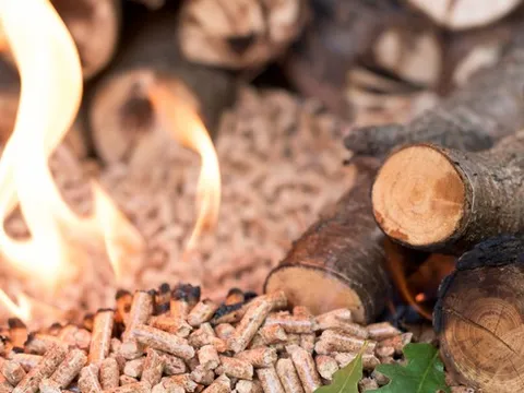Giá viên nén gỗ tăng gấp đôi khi EU 'khát' năng lượng, một DN Việt lọt top 5 thế giới