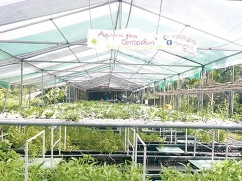 Bỏ việc lương cao làm… nông dân