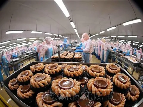 Xuất khẩu tôm và cá tra tăng trưởng trái chiều
