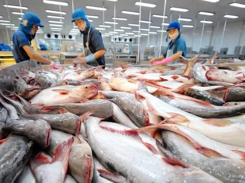 Xuất khẩu nông lâm thủy sản đạt hơn 36 tỉ USD