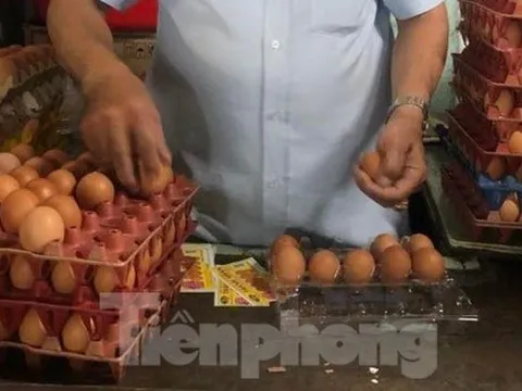 Vì sao thịt, trứng… vẫn chưa giảm giá theo xăng?