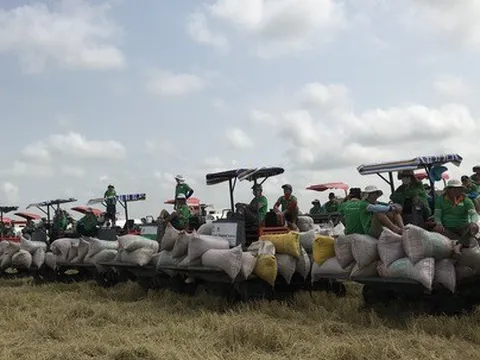 Ủng hộ hợp tác với Thái Lan nâng giá gạo