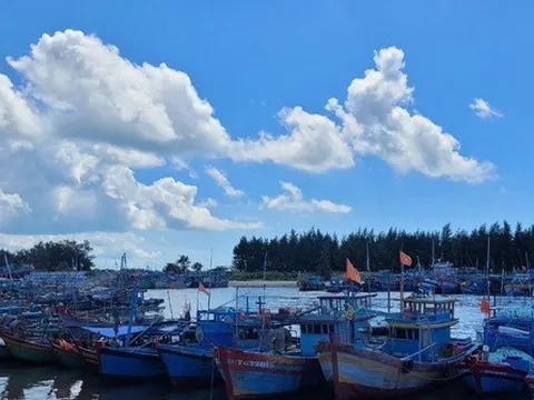 Lúa chín rục ngoài đồng, nông dân khốn đốn vì máy gặt “khát” dầu