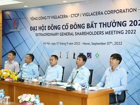 Viglacera lãi trước thuế 8 tháng đạt 1.992 tỷ đồng, vượt 17% kế hoạch năm