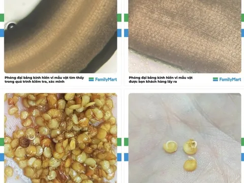Chuỗi cửa hàng tiện lợi FamilyMart lên tiếng về nghi vấn lẩu ly có chứa dòi