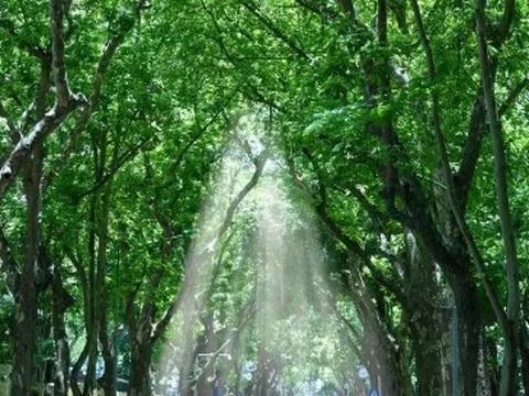 Thời tiết dịp nghỉ lễ Quốc khánh 2/9