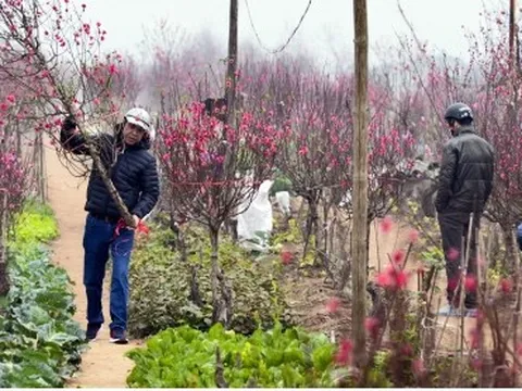 Người lao động mong được nghỉ Tết Nguyên đán Quý Mão 2023 sớm từ 28 tháng Chạp