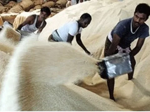 Ấn Độ áp thuế xuất khẩu 20% đối với một số loại gạo