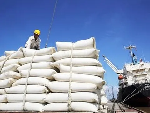 Xuất khẩu gạo dự kiến đạt 3,2 - 3,3 tỷ USD