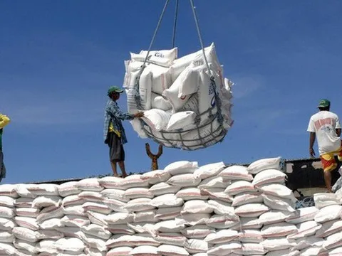 Ấn Độ hạn chế xuất khẩu gạo, thị trường Việt Nam rộng cửa?