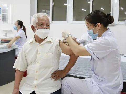 Người trẻ khỏe mạnh tiêm bao nhiêu mũi vaccine Covid-19 là đủ? Giải đáp từ chuyên gia