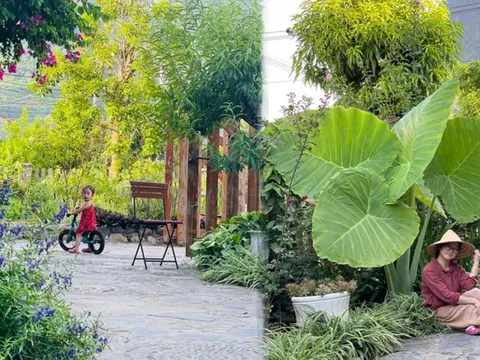 Ngắm khu vườn 300m2 ngập tràn hoa trái ở Hà Giang của bà mẹ trẻ