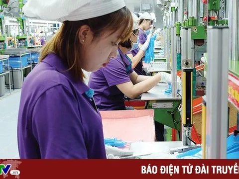 Kinh nghiệm từ thành công của Việt Nam