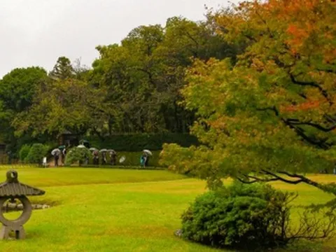 Nhật Bản chuẩn bị đón khách cho mùa "lá vàng lá đỏ"