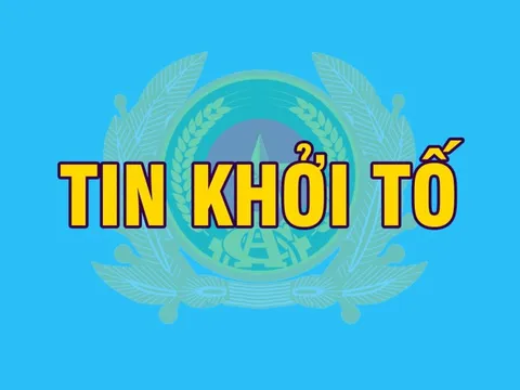 Khởi tố, bắt tạm giam Phó Tổng Giám đốc Công ty CP Xây dựng FLC Faros