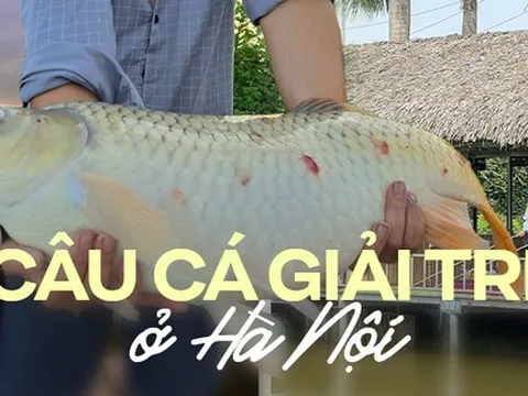 Những địa điểm câu cá giải trí ở Hà Nội giúp xua tan mọi buồn phiền